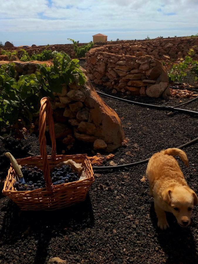 Agriturismo El Bounty1 Puerto del Rosario  Luaran gambar