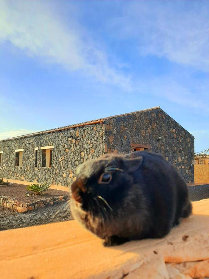 Agriturismo El Bounty1 Puerto del Rosario  Luaran gambar