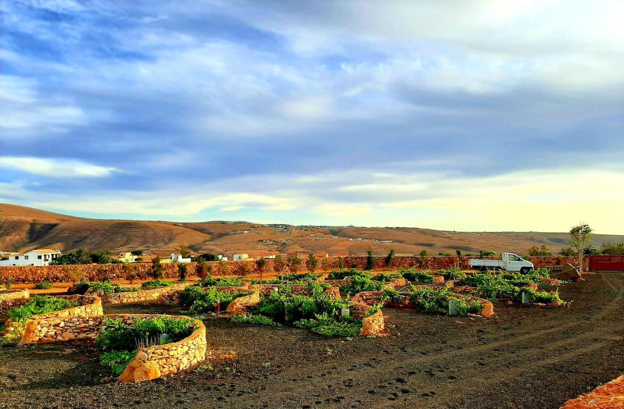 Agriturismo El Bounty1 Puerto del Rosario  Luaran gambar