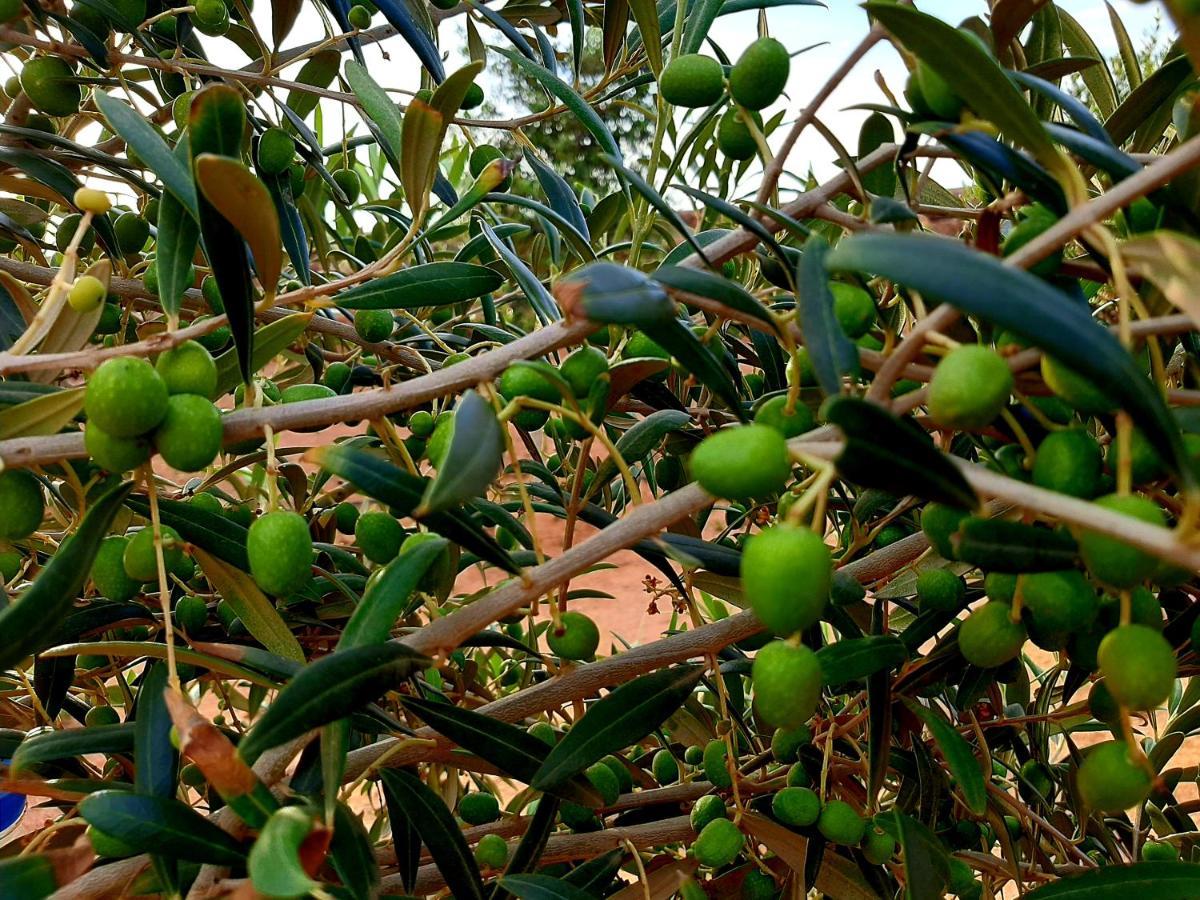 Agriturismo El Bounty1 Puerto del Rosario  Luaran gambar